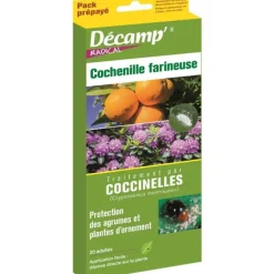 Online DECAMP Coccinelles contre la cochenille farineuse Décamp - La boite de 20