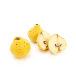 Best Coing bio de France - Prix au kg