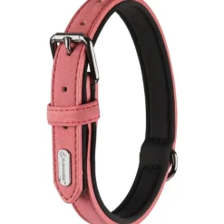 Discount FLAMINGO Collier chien Delu rose 19/35 x 1,5 cm
