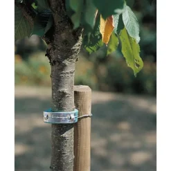 Sale NORTENE Collier mousse coloris vert 60 cm