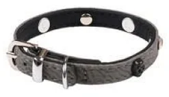 Online Collier pour chien gris simili cuir Rock Petmini Wouapy – 10 mm x 25 cm