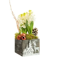 Outlet BOTANIC® Composition florale de 3 jacinthe pot en bois et décoration en zinc coloris multicolore