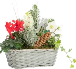 Online BOTANIC® Composition jardinière vannerie grise - 30 cm