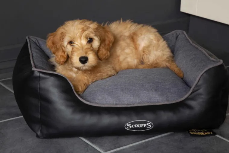 Clearance SCRUFFS Corbeille à mémoire de forme pour chien gris Hilton – Taille S