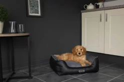 Clearance SCRUFFS Corbeille à mémoire de forme pour chien gris Hilton – Taille S