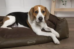 Outlet SCRUFFS Corbeille à mémoire de forme pour chien et chat Hilton – Taille S