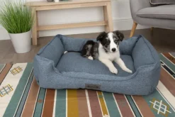 Best SCRUFFS Corbeille pour chien bleu Manhattan – Taille M