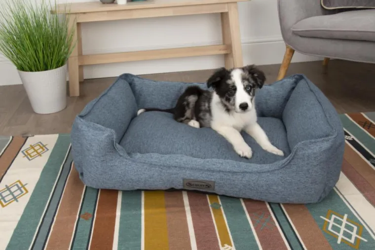 Best SCRUFFS Corbeille pour chien bleu Manhattan – Taille M