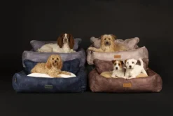 Outlet SCRUFFS Corbeille pour chien bleu Kensington – Taille XL