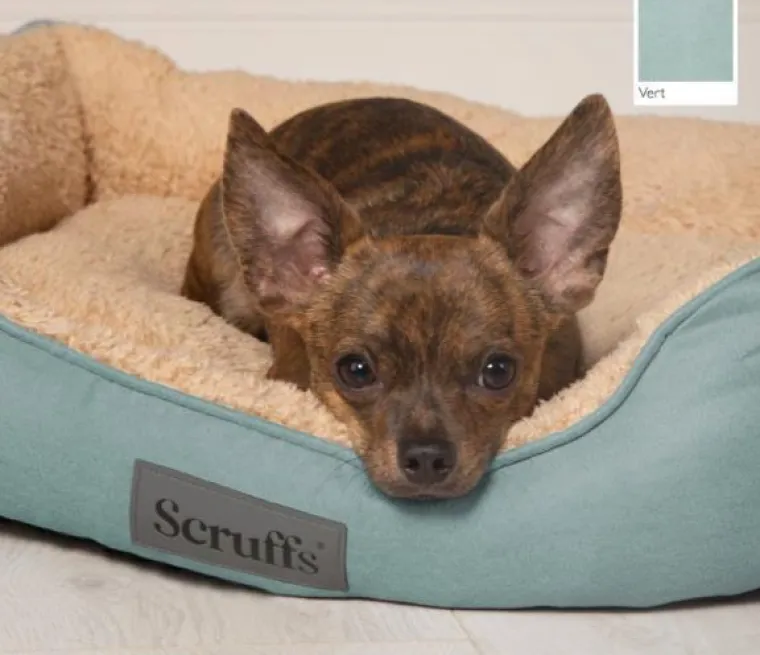 Discount SCRUFFS Corbeille pour chien et chat coloris vert Cosy – Taille M