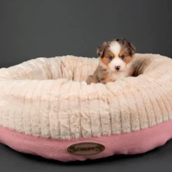 Hot SCRUFFS Corbeille pour chien rose Ellen - Taille XL