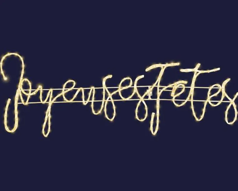 Outlet BLACHÈRE ILLUMINATION Cordon lumineux Joyeuses Fêtes à 242 micro-LED blanc chaud et câble argent - 107 x 36 cm