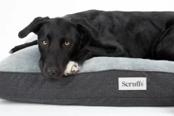 Best SCRUFFS Couchage orthopédique pour chien coloris gris Harvard - Taille L 100 x 70 x 12 cm
