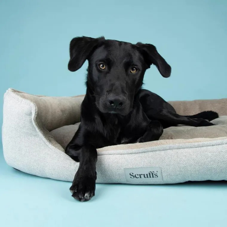 Best SCRUFFS Couchage orthopédique pour chien coloris marron Harvard - Taille XL 90 x 70 x 20 cm