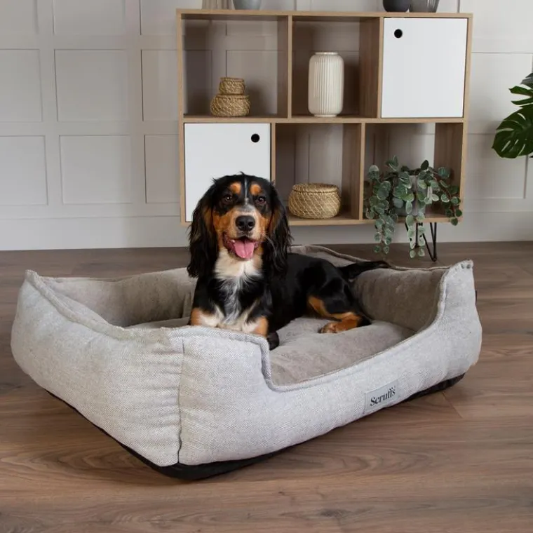 Best SCRUFFS Couchage orthopédique pour chien coloris marron Harvard - Taille XL 90 x 70 x 20 cm
