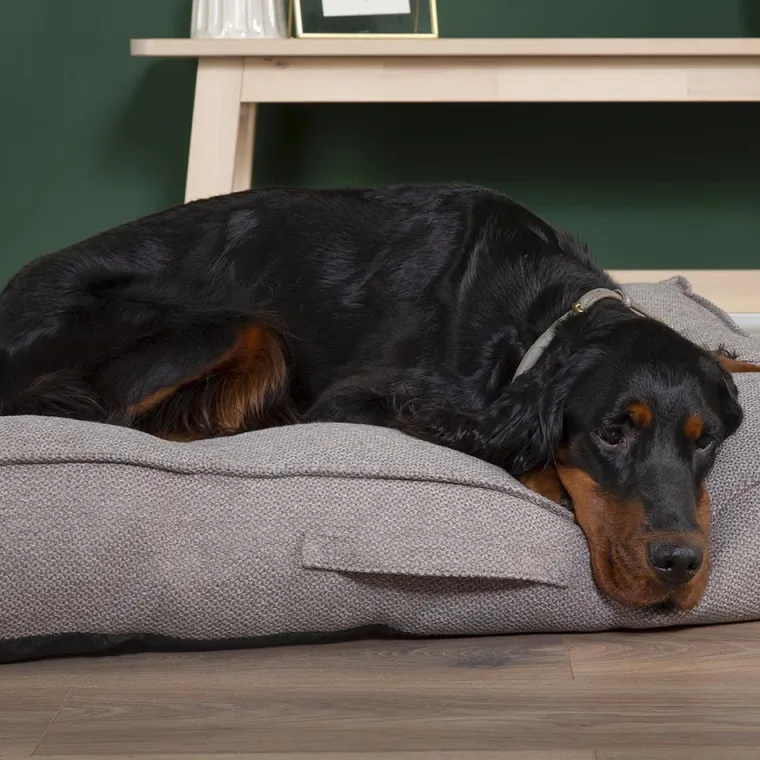 Hot SCRUFFS Couchage pour chien coloris gris coussin Seattle - Taille M 80 x 60 x 14 cm