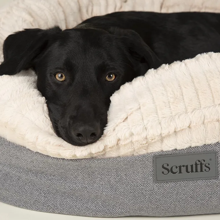 Sale SCRUFFS Couchage pour chien coloris gris corbeille ronde Ellen - Taille XL Ø 75 cm