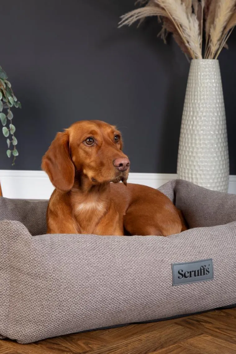 Outlet SCRUFFS Couchage pour chien coloris gris corbeille Ellen - Taille XL 90 x 70 x 18 cm