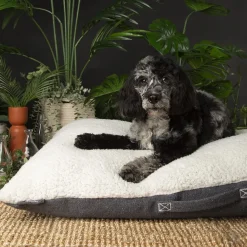 Discount SCRUFFS Couchage pour chien coloris gris coussin Eco Eden - Taille M 80 x 60 cm