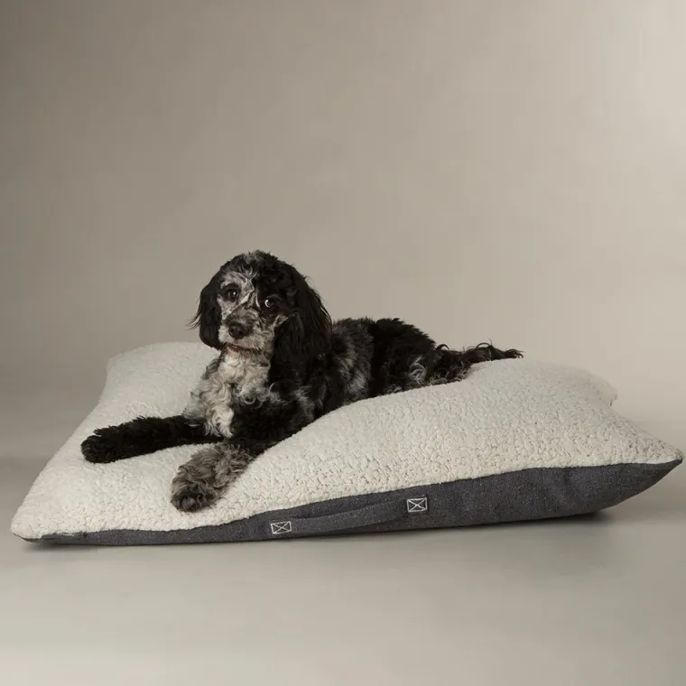 Discount SCRUFFS Couchage pour chien coloris gris coussin Eco Eden - Taille M 80 x 60 cm