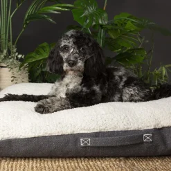 Discount SCRUFFS Couchage pour chien coloris gris coussin Eco Eden - Taille M 80 x 60 cm