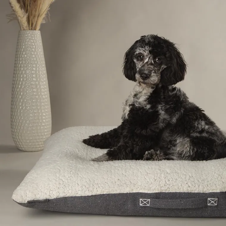 Discount SCRUFFS Couchage pour chien coloris gris coussin Eco Eden - Taille M 80 x 60 cm