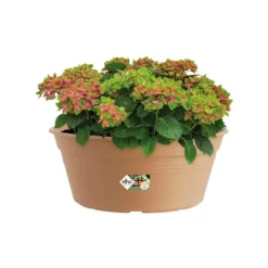 New ELHO Coupe coloris terre cuite doux Green Basics - Ø 33 cm