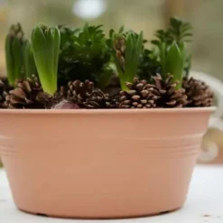 New ELHO Coupe coloris terre cuite doux Green Basics - Ø 33 cm