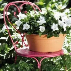 New ELHO Coupe coloris terre cuite doux Green Basics - Ø 33 cm