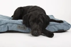 Best SCRUFFS Coussin pour chien bleu Manhattan - Taille M