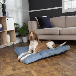 Best SCRUFFS Coussin pour chien bleu Manhattan - Taille M