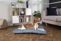 Best SCRUFFS Coussin pour chien bleu Manhattan - Taille M