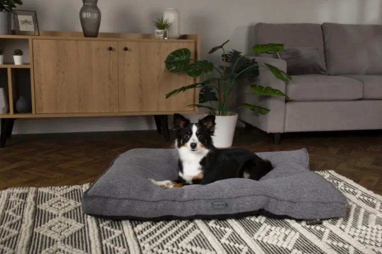 Best SCRUFFS Coussin pour chien gris foncé Manhattan – Taille M