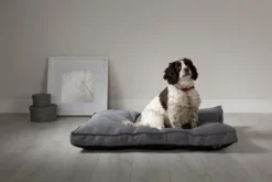 Best SCRUFFS Coussin pour chien gris foncé Manhattan – Taille M