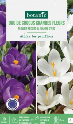 Clearance BOTANIC® Crocus en mélange coloris violet et blanc - 10 bulbes