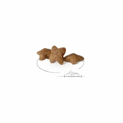 Discount ROYAL CANIN Croquette pour chien adulte de petite taille - 4 kg