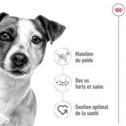 Discount ROYAL CANIN Croquette pour chien adulte de petite taille - 4 kg