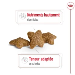 Discount ROYAL CANIN Croquette pour chien adulte de petite taille - 4 kg