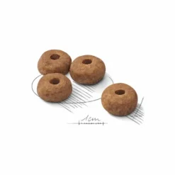 Sale ROYAL CANIN Croquette pour chien adulte stérilisé de taille moyenne - 3 kg