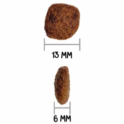 Hot OWNAT Croquette pour chien adulte de petite taille au poulet - 3 kg
