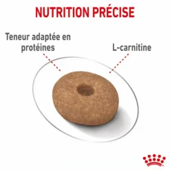 New ROYAL CANIN Croquette pour chien adulte de petite taille light weight care - 3 kg