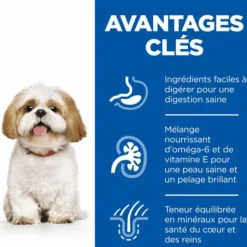 Clearance HILL'S Croquette pour chien mature de petite taille au poulet - 6 kg