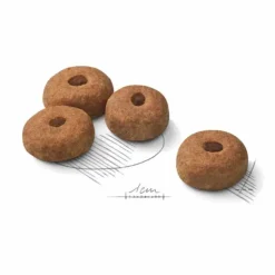 New ROYAL CANIN Croquette pour chien stérilisé de grande taille - 12 kg