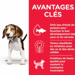 Outlet HILL'S Croquette pour chiot au poulet - 12 kg