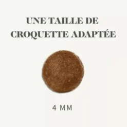 BAB'IN Croquettes pour chien junior au poulet sans céréales Signature - 3 kg