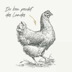 Online BAB'IN Croquettes pour chien medium adulte au poulet sans céréales Signature - 3 kg