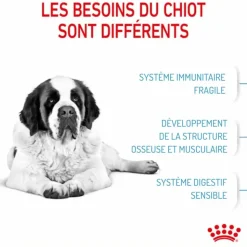 ROYAL CANIN Croquettes pour chiot Junior active Giant - 15 kg