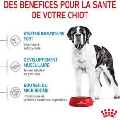 ROYAL CANIN Croquettes pour chiot Junior active Giant - 15 kg