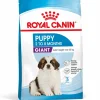 Best ROYAL CANIN Croquettes pour chiot Giant - 15 kg