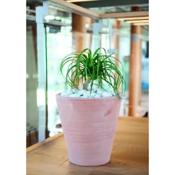 Sale POTERIE GOICOECHEA Cuvier contemporain en terre claire H 48 x Ø 47 cm